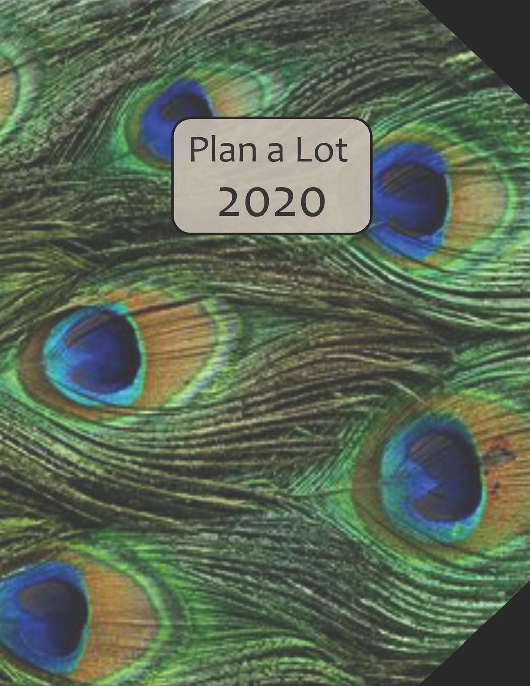 Plan a Lot 2020: Peacock Feathers Cover, 4 Months at a glance, Months on 2 pages, monthly Project planner, Weekly with tracking habits, to-do listings and big note section followed by 60+ grid pages; 8x11 sized