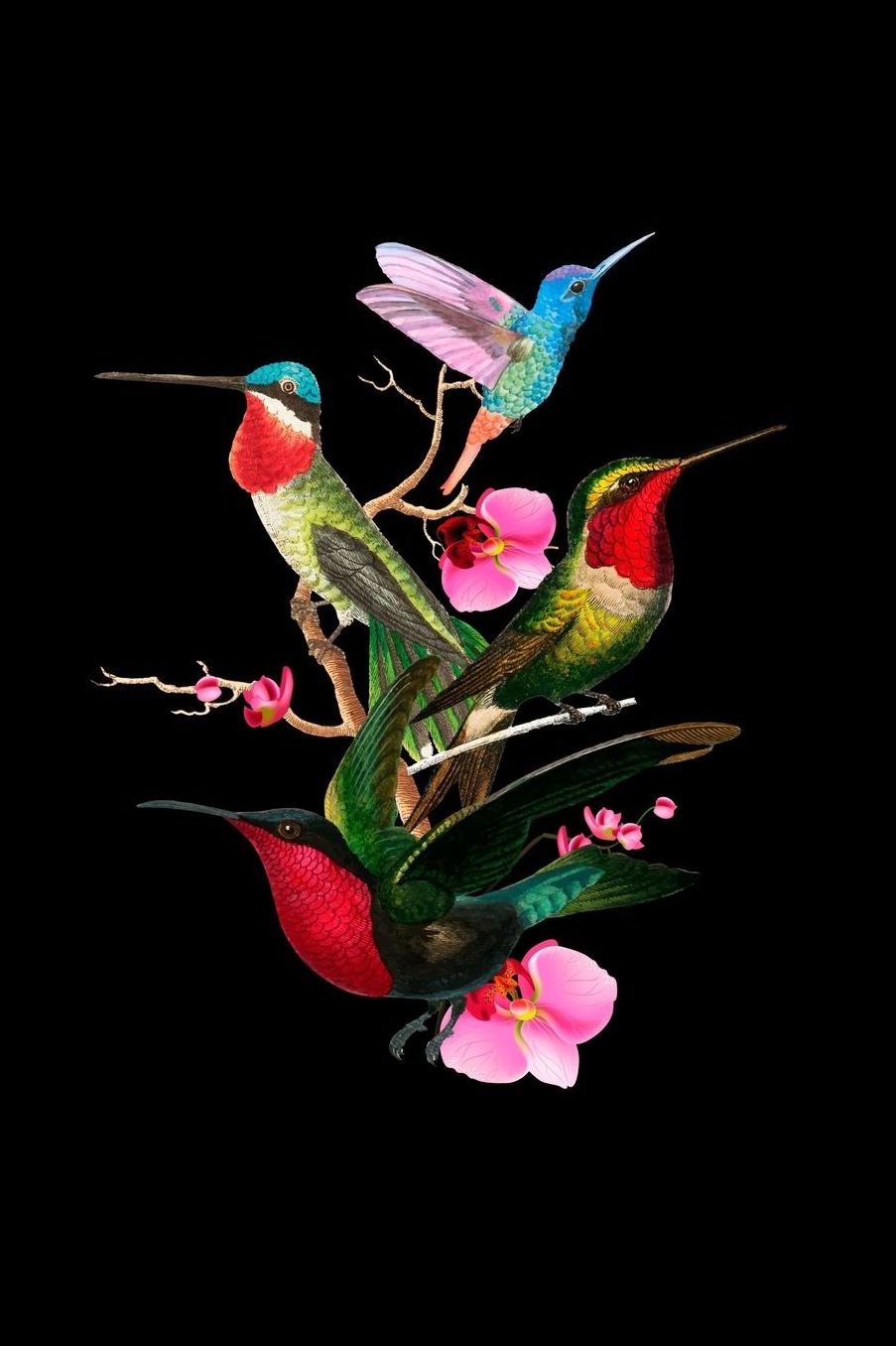 Hummingbird Journal: Tropical pï¿½jaro naturaleza fanï¿½tica colibrï¿½es En fuga Vivo Artï¿½stico mariposas revista - 120 asistentes 120 reinado asistentes cuaderno a favor de mucama mujeres adolescente menores - agenda Para reinterpretaciï¿½n