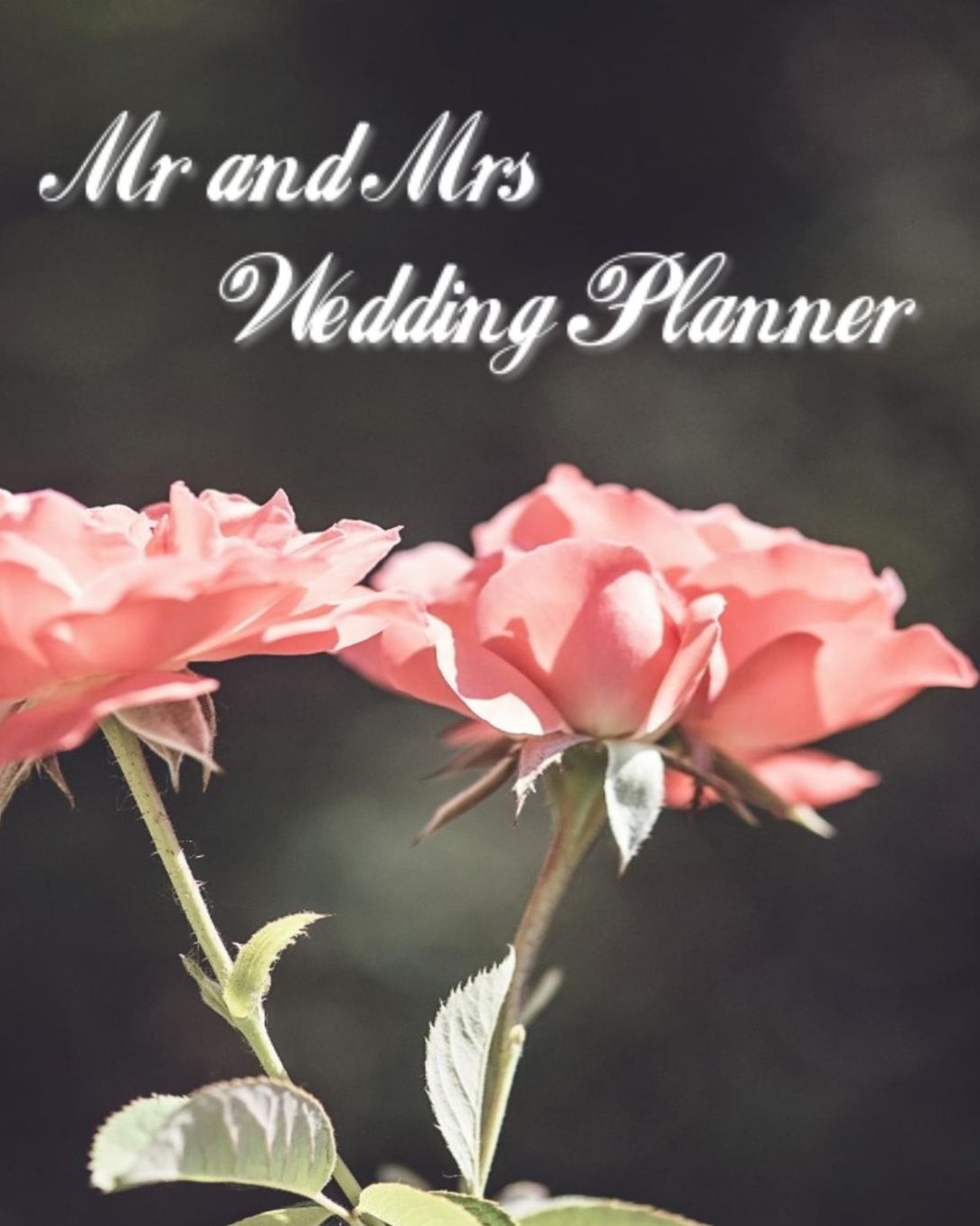 Mr and Mrs Wedding Planner: Special Planner for the involved Groom and Bride-to-Be