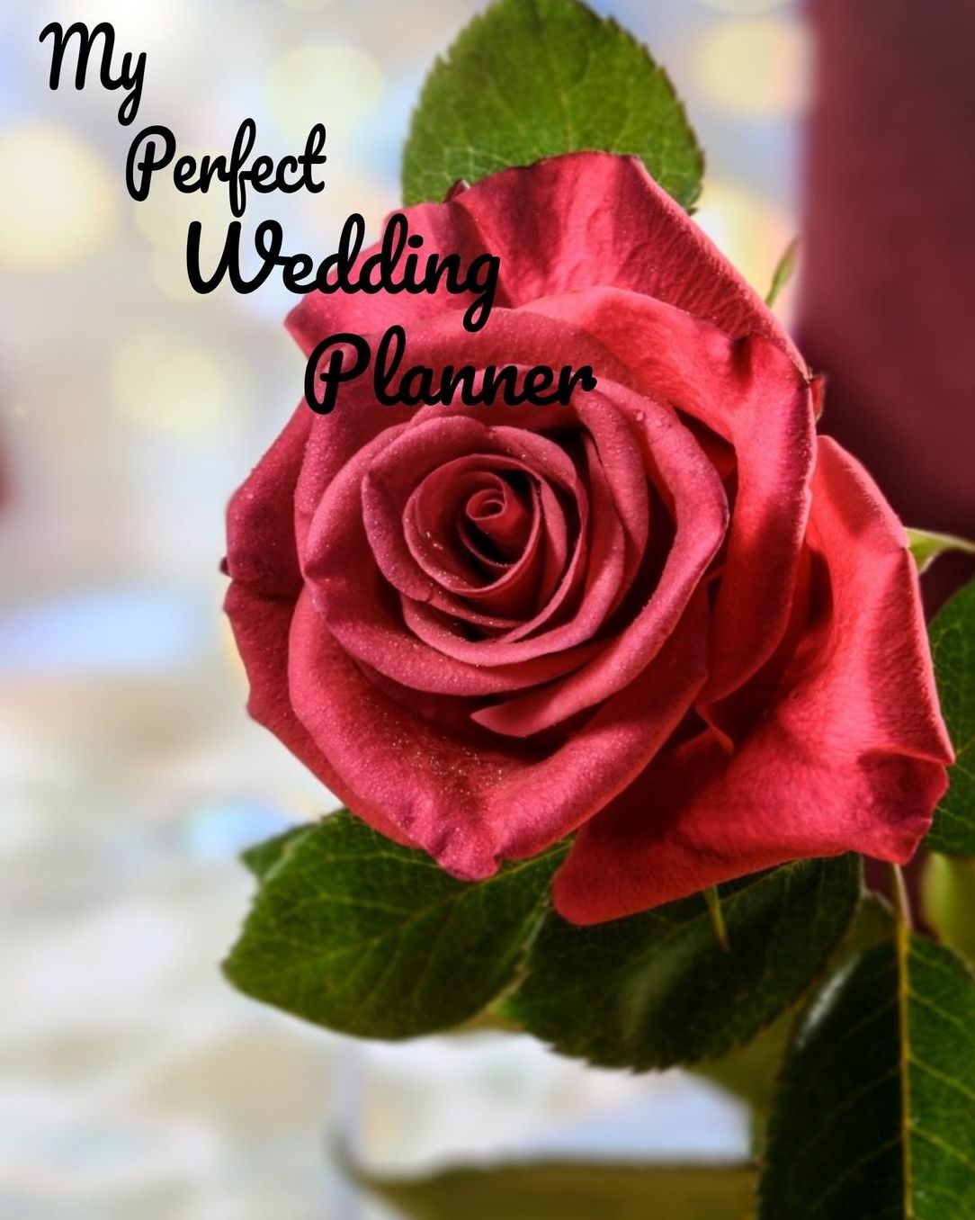 My Perfect Wedding Planner: A Complete Organizer For Your Most Beautiful Day