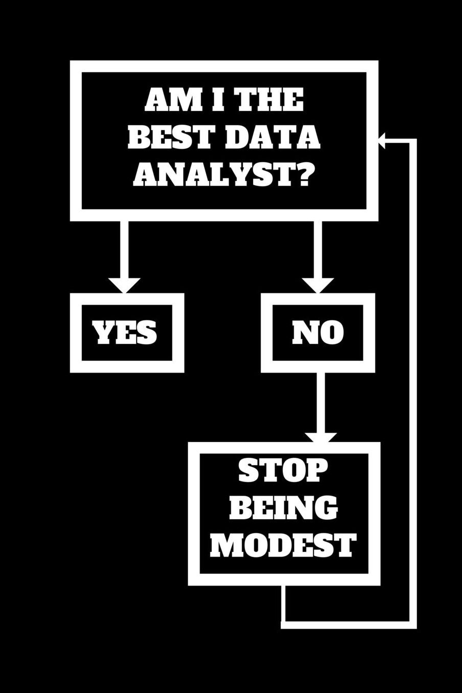 Am I The Best Data Analyst?: Funny Gift for Data Analysts, Unique Gift, Data Analyst Journal, Data Analyst coworker notebook Gift (6 x 9 Lined Notebook, 120 pages)