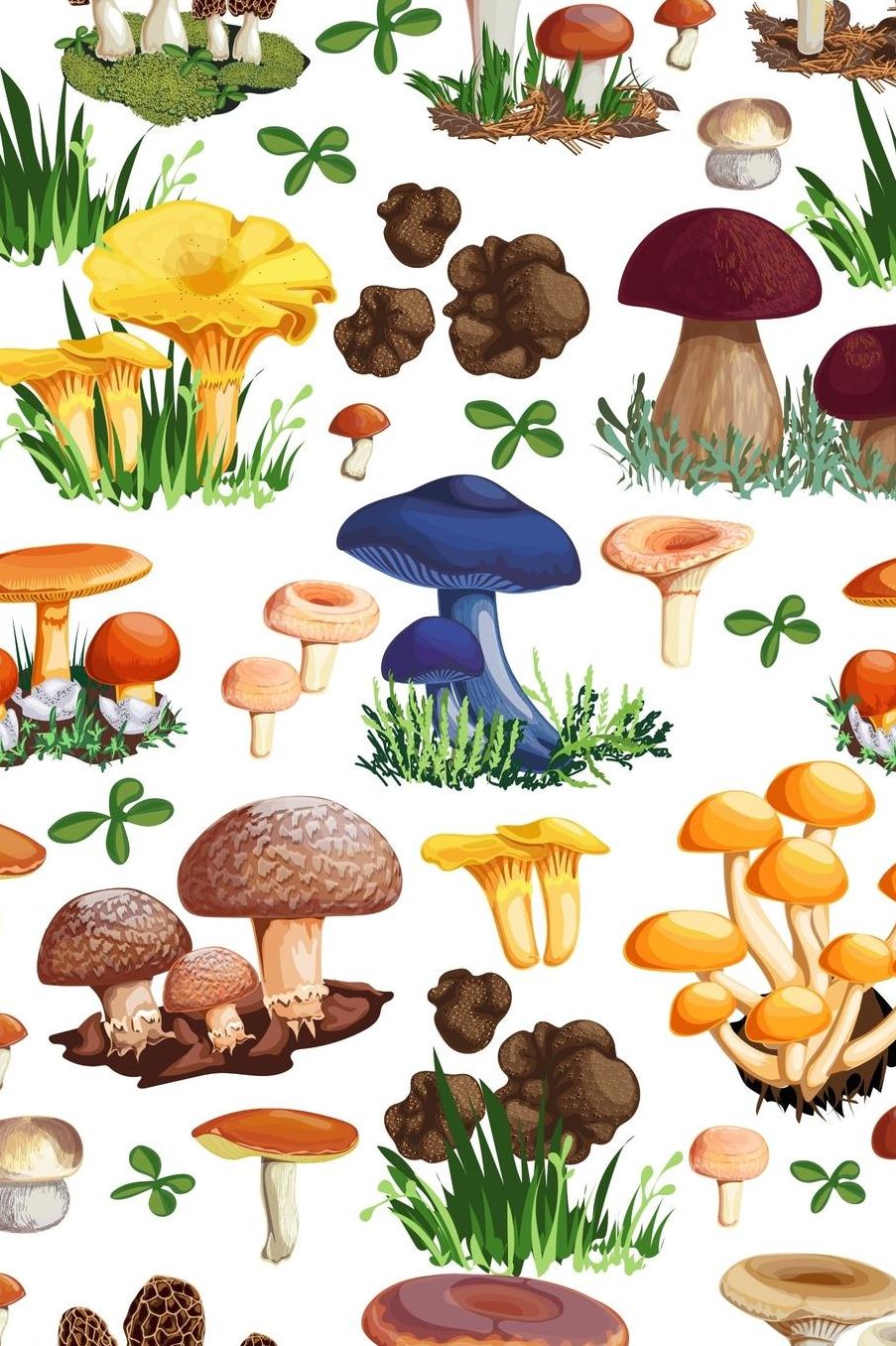 Mushrooms: College Ruled Notebook Journal, 6x9 Inch, 120 Pages