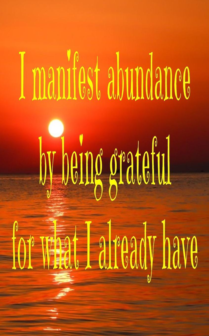 I manifest abundance by being grateful for what I already have: Gratitude 5X8 110 Blank Pages Abundance Notebook