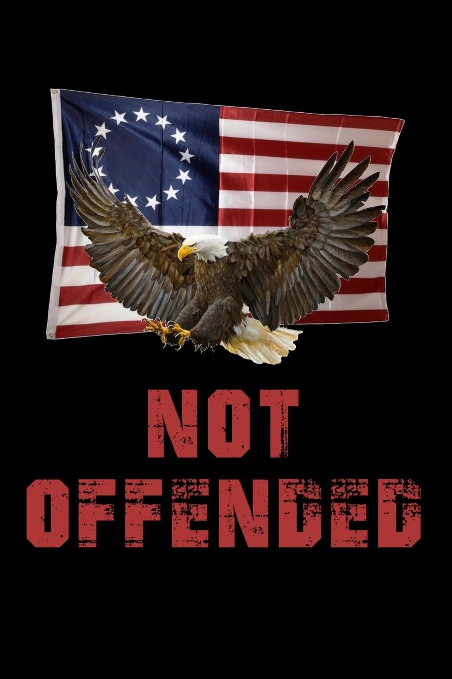 Not Offended: Betsy Ross Flag Notebook With Soaring American Bald Eagle 6 x 9 lined notebook.