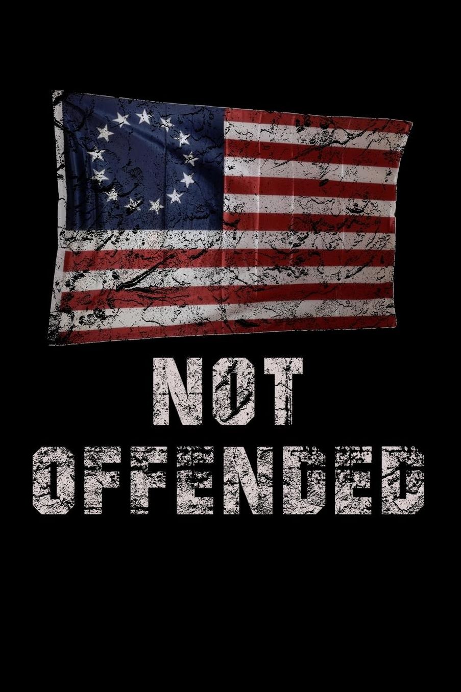 Not Offended: A vintage Distressed Betsy Ross Flag 6 x 9 lined notebook.