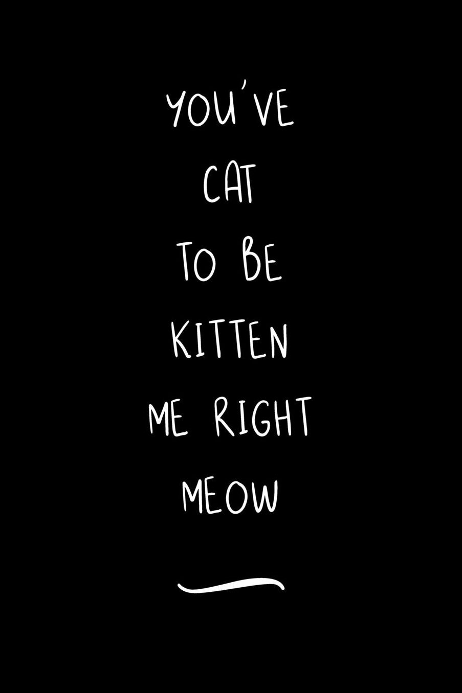 You've Cat To Be Kitten Me Right Meow: Funny Office Notebook/Journal For Women/Men/Coworkers/Boss/Business Woman/Funny office work desk humor/ Stress Relief Anger Management Journal(6x9 inch)