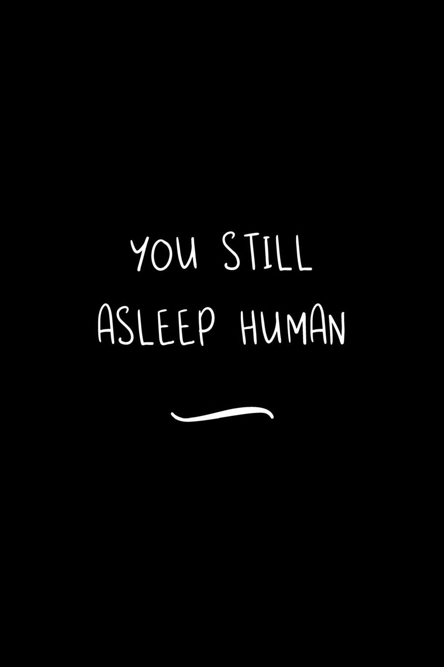 You Still Asleep Human: Funny Office Notebook/Journal For Women/Men/Coworkers/Boss/Business Woman/Funny office work desk humor/ Stress Relief Anger Management Journal(6x9 inch)