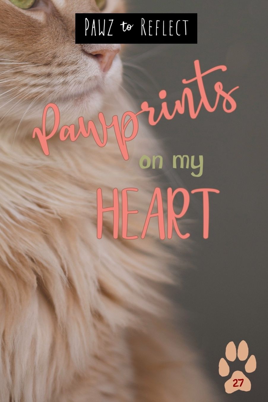 Pawprints On My Heart 27: Glossy Photo Cover Detail of Long, Creamy Orange Fur, 6"x9" journal with 160 lined pages for Animal Lovers