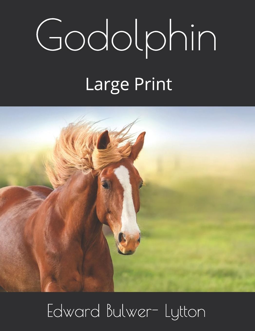 Godolphin: Large Print