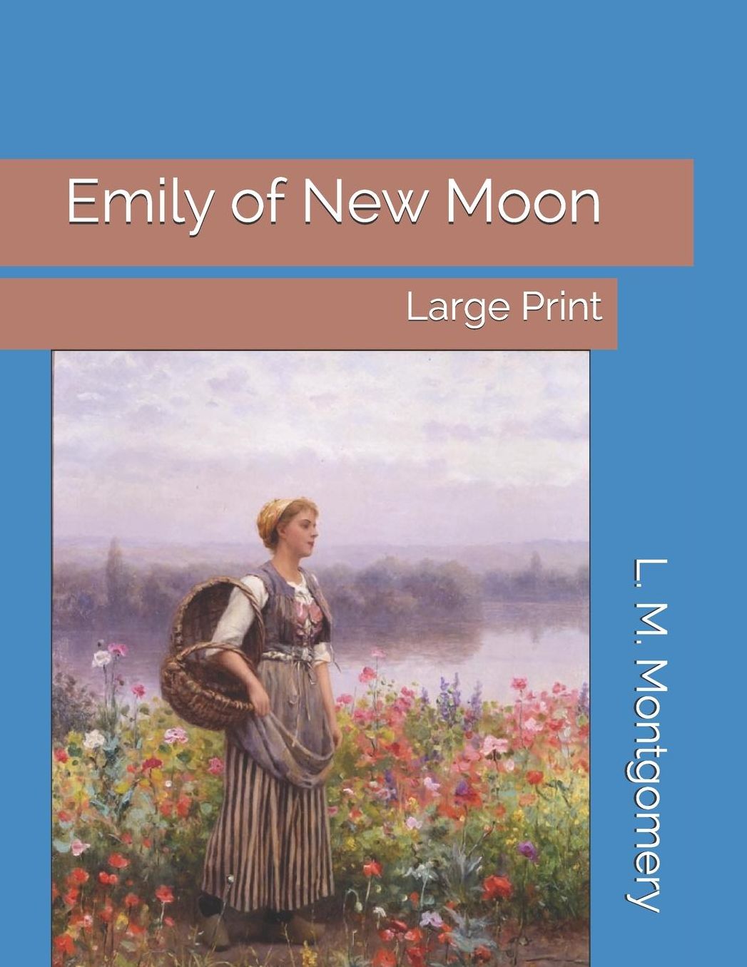 Emily of New Moon: Large Print