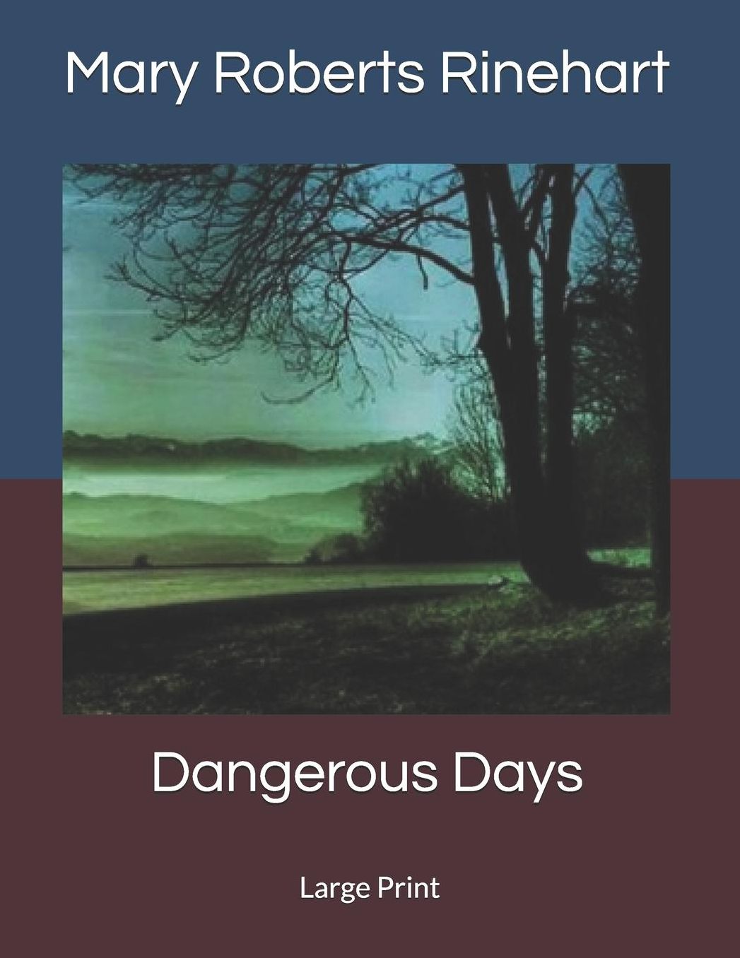 Dangerous Days: Large Print