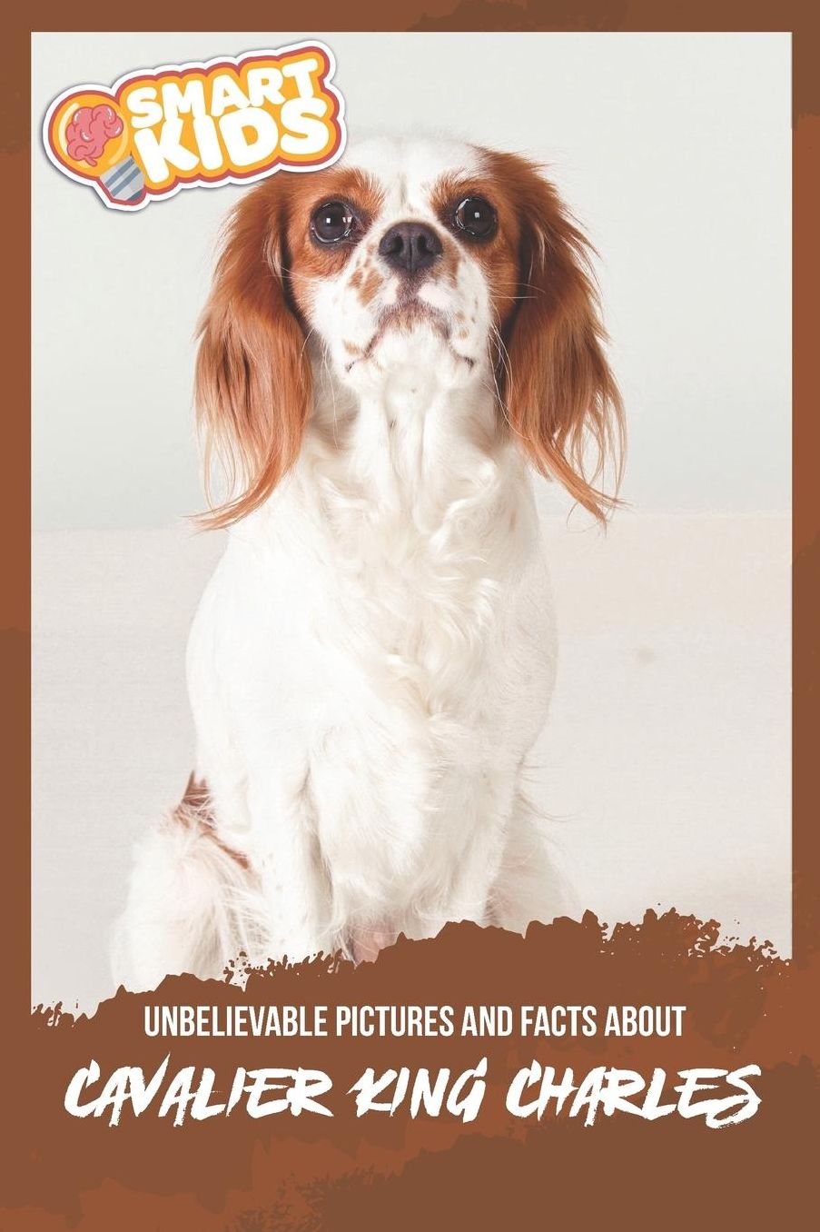 Unbelievable Pictures and Facts About Cavalier King Charles