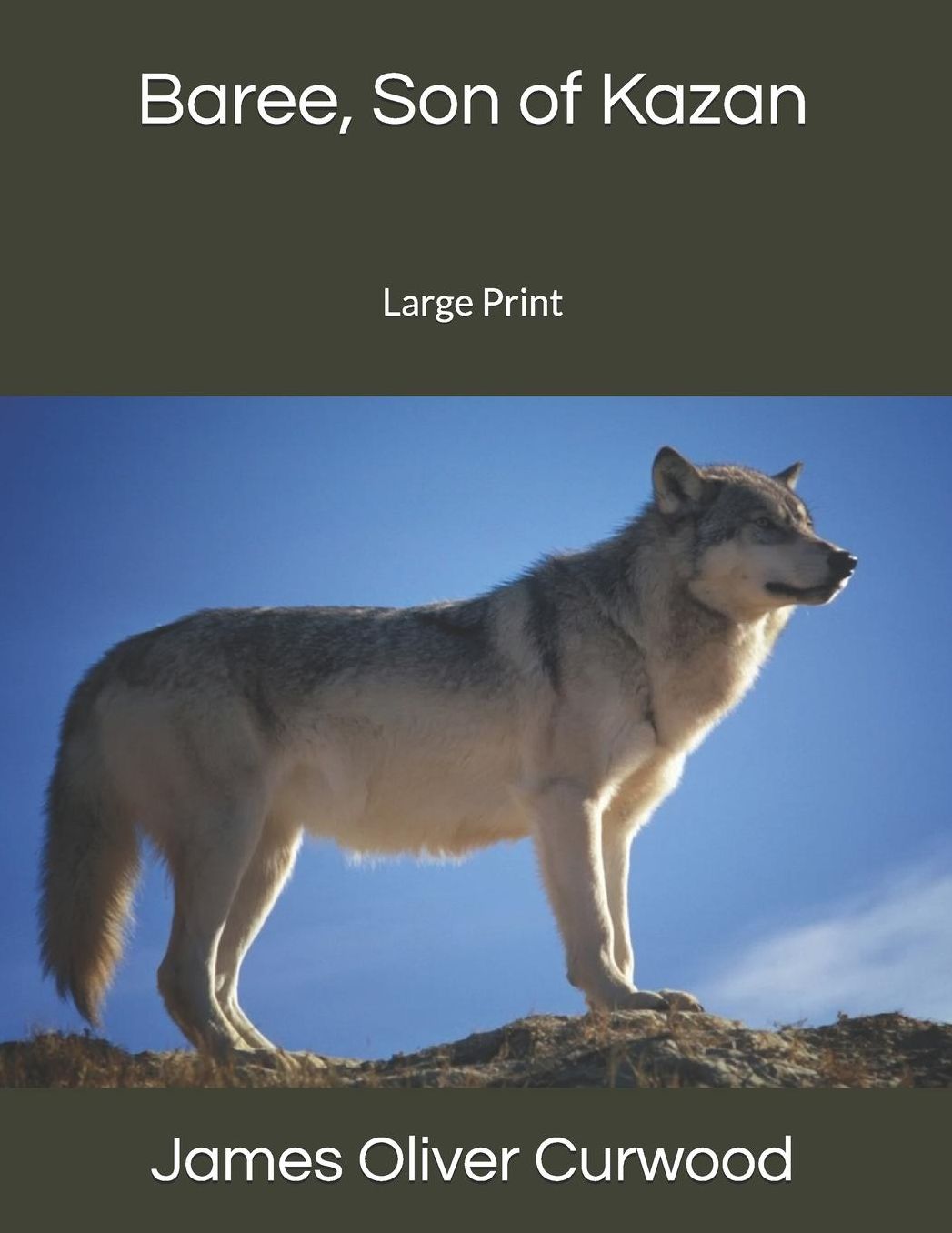 Baree, Son of Kazan: Large Print