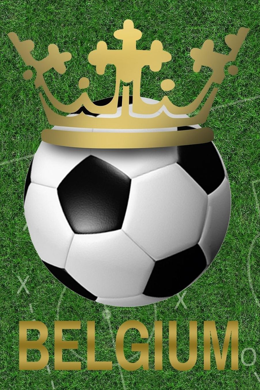 Fuï¿½ball Notizbuch: A5 Notizheft Punkteraster fï¿½r deine Fussball Notizen I Fuï¿½ballmannschaft Belgien I Notizheft, Tagebuch, Taktikblock zum erstellen von Taktiken und Spielzï¿½gen Geschenk fï¿½r Coach, Trainer