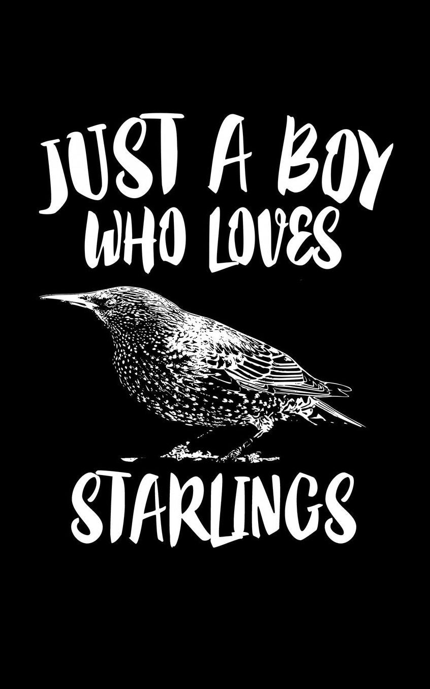 Just A Boy Who Loves Starlings: Animal Nature Collection