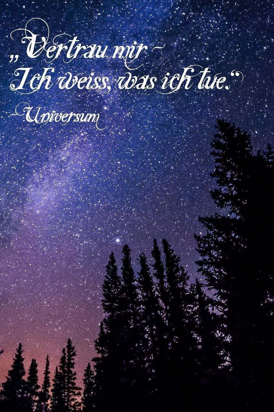 Vertrau mir - Ich weiss, was ich tue. Universum: A5 Liniertes Wunschbuch fï¿½r deine Wï¿½nsche mit Platz fï¿½r Notizen, Fotos und Skizzen Softcover