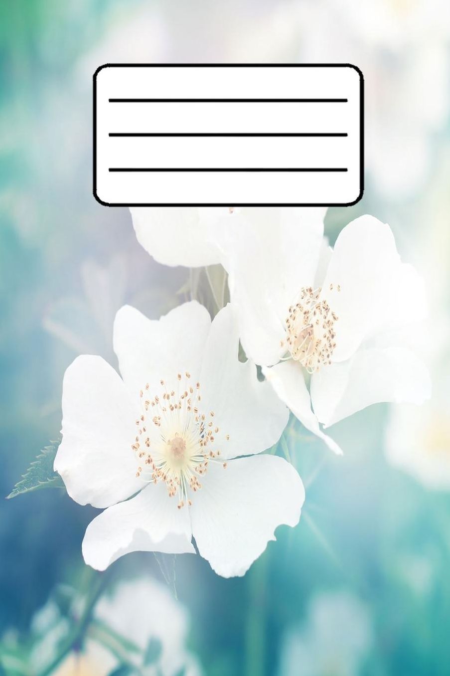 Japanisches Schreibheft: Japanisches Schreibheft / Kanji ï¿½bungsheft, Arbeitsbuch, Schreibheft / zum ï¿½ben der japanischen Kanji Schriftzeichen