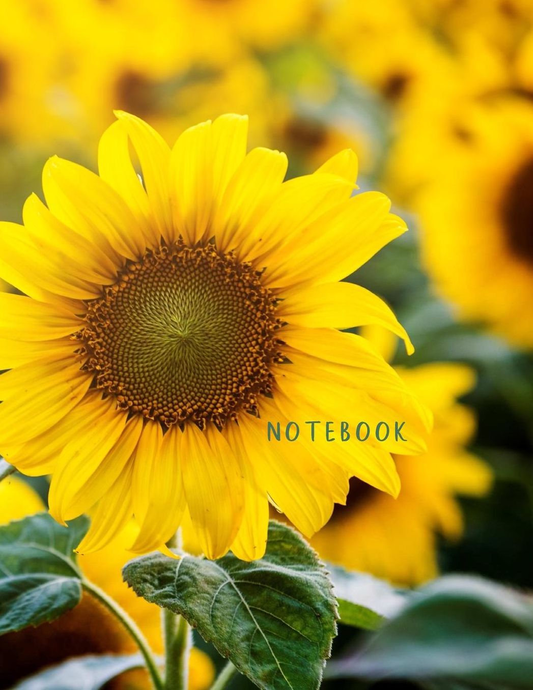 Notebook: Large format (letter size). 120 Lined pages. Wide ruled. Ideal for School notes, Journaling, Hand lettering or Calligraphy practice. Perfect gift. 8.5' x 11.0'. (Sunflower. Soft matte cover).