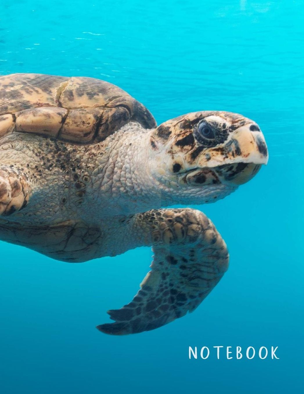 Notebook: Large format (letter size). 120 Lined pages. Wide ruled. Ideal for School notes, Journaling, Hand lettering or Calligraphy practice. Perfect gift. 8.5' x 11.0'. (Sea turtle, swimming. Soft matte cover).