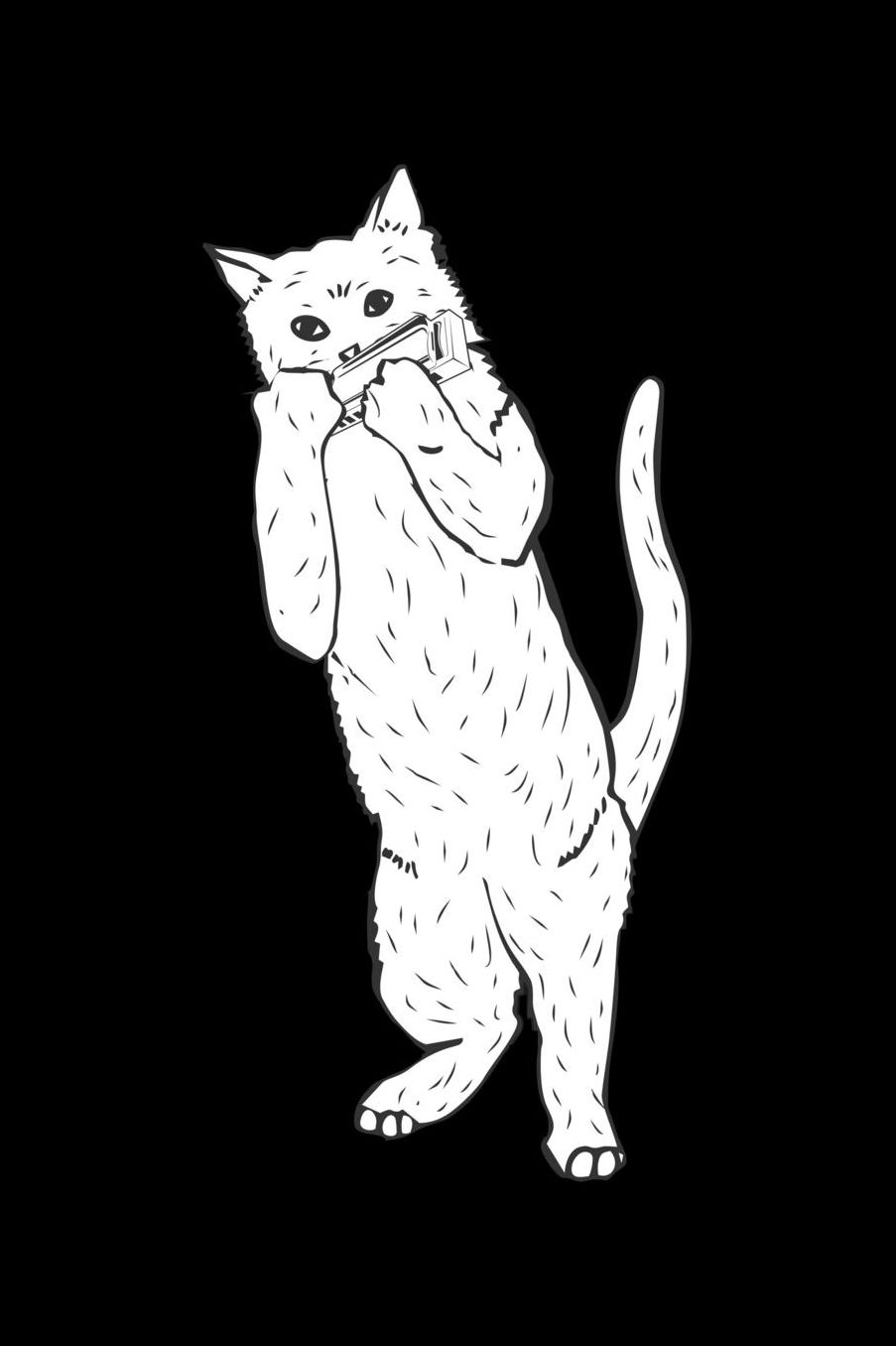 Cat plays harmonica: Lined Notebook (6x 9 inch size = nearly DIN A5 - 120 Pages) - perfect as music book or song writing book, suitable gift for Harmonica musicians!