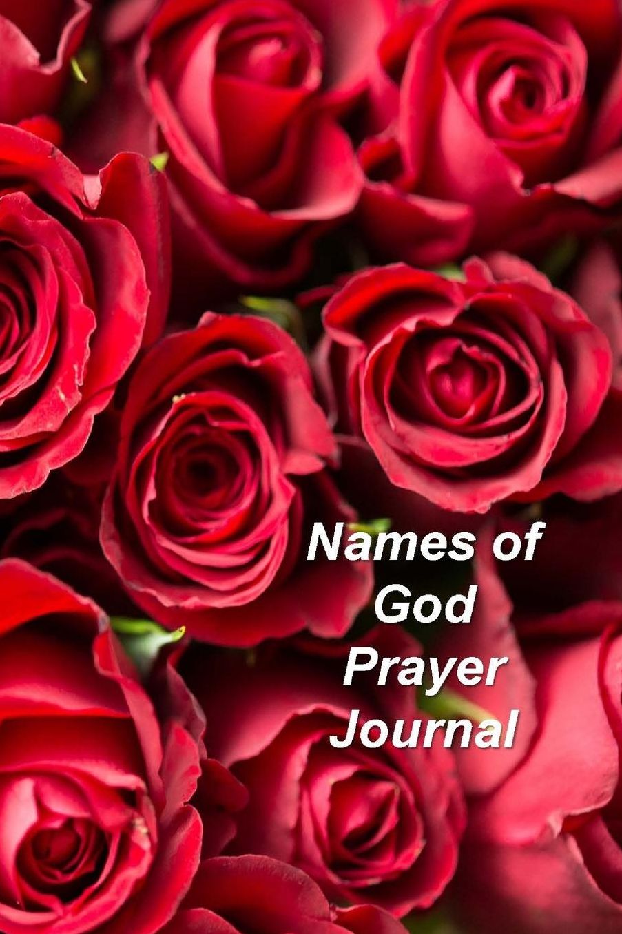 Names of God Prayer Journal: Undated 13-Week Notebook Focusing On The Names Of God And Scripture Study