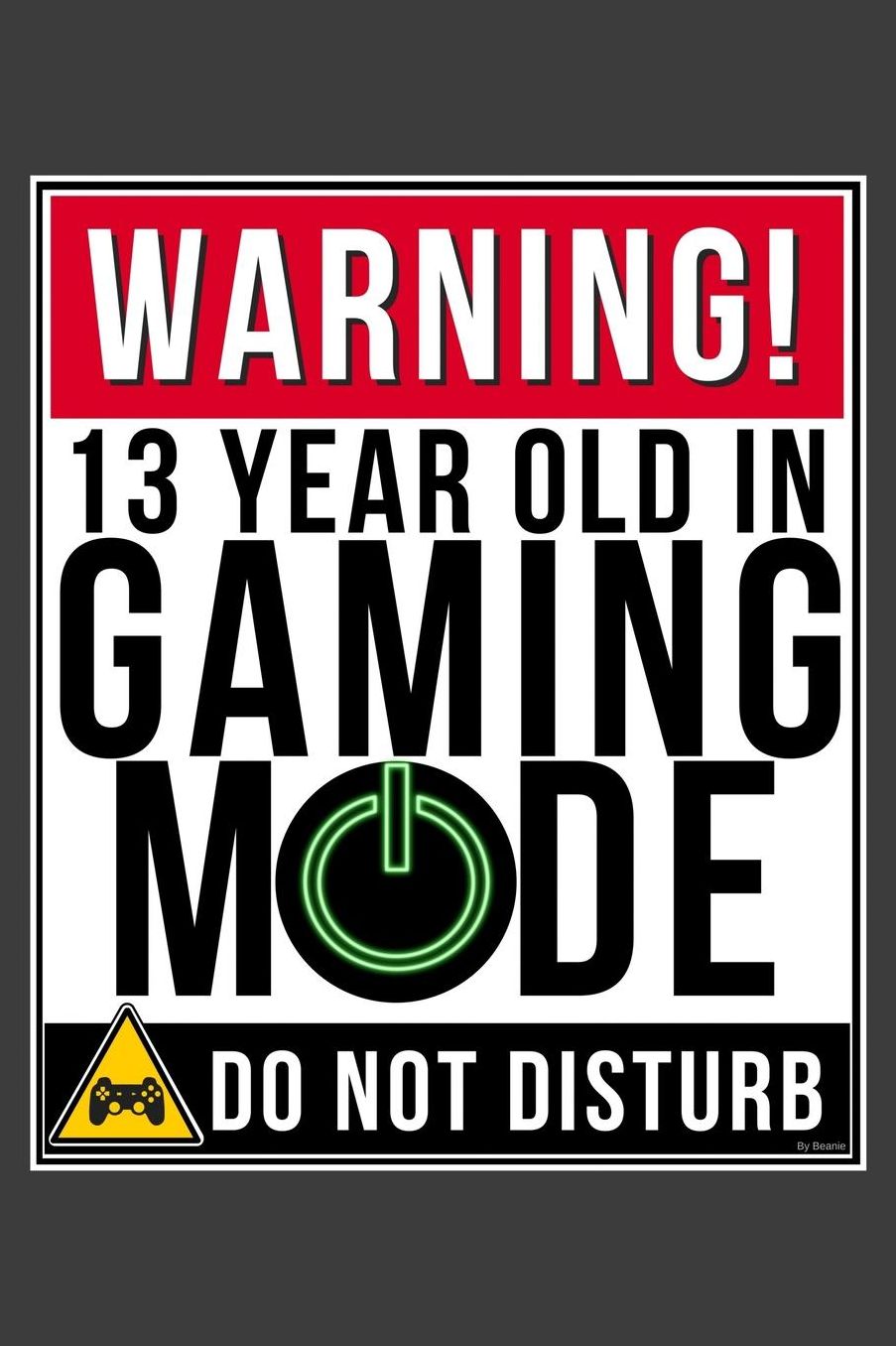 Warning 13 Year Old In Gaming Mode: 13 Year Old Gamer 2020 Calender Diary Planner 6x9 Personalized Gift For 13th Birthdays