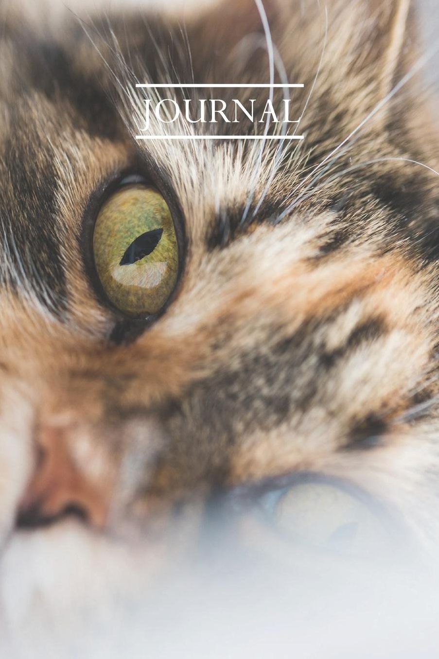 Journal: Pretty Cute Kitten Notebook for Cat Lovers