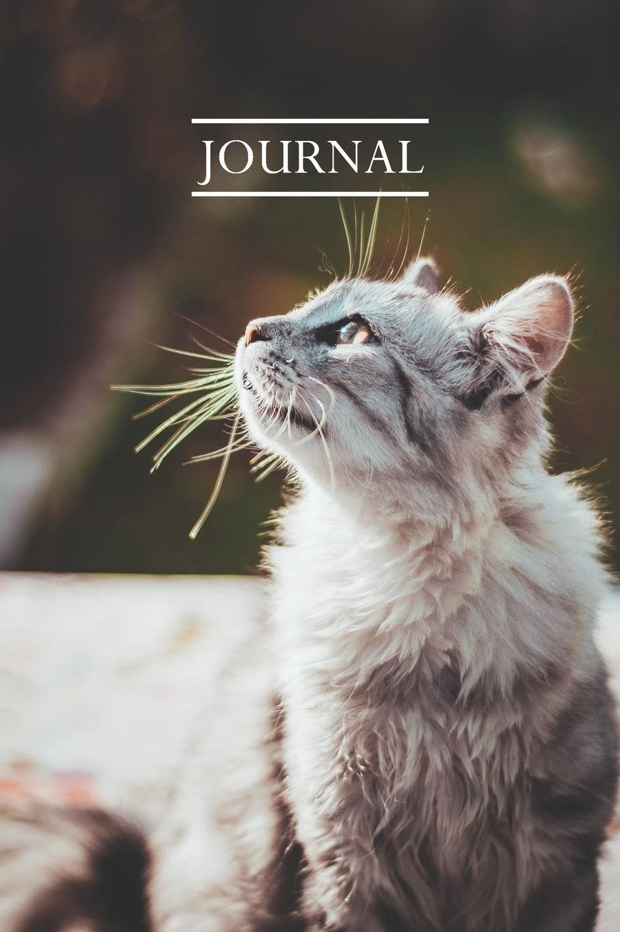 Journal: Pretty Cute Kitten Notebook for Cat Lovers