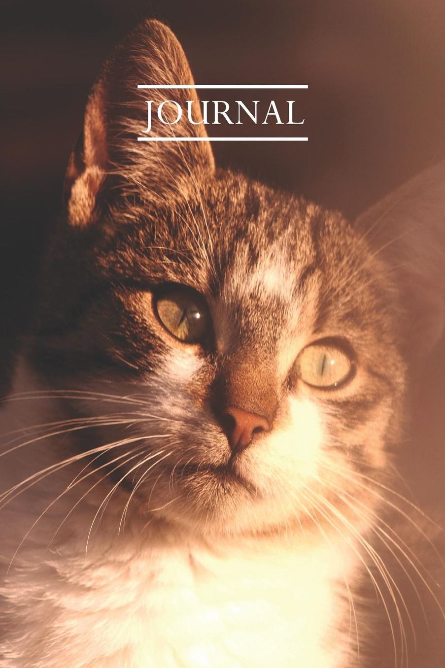 Journal: Pretty Cute Kitten Notebook for Cat Lovers