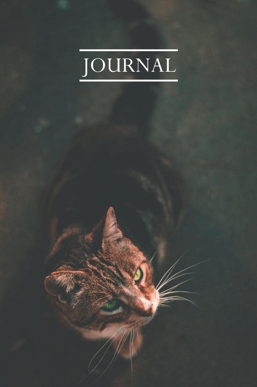 Journal: Pretty Cute Kitten Notebook for Cat Lovers