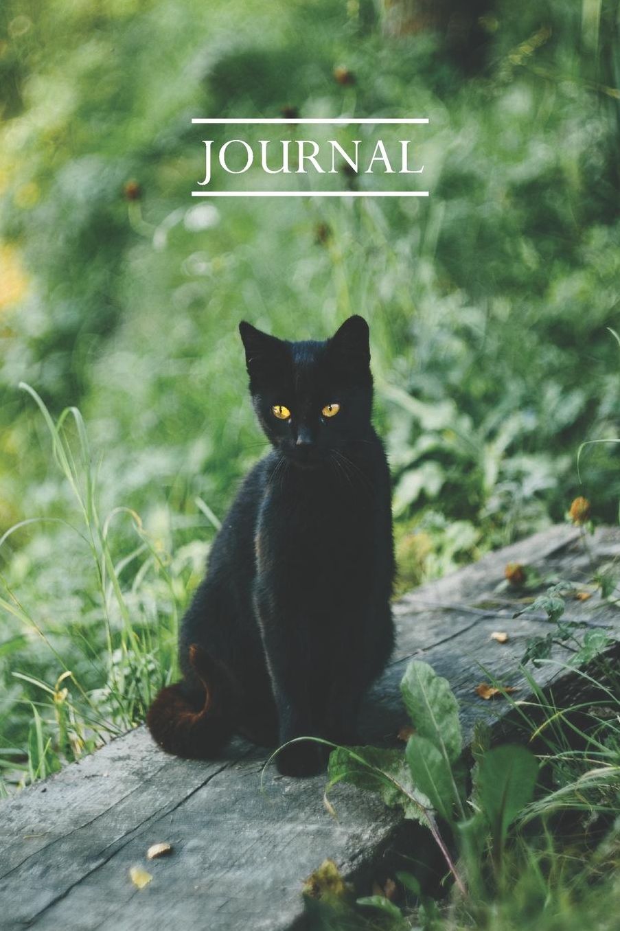 Journal: Pretty Cute Kitten Notebook for Cat Lovers