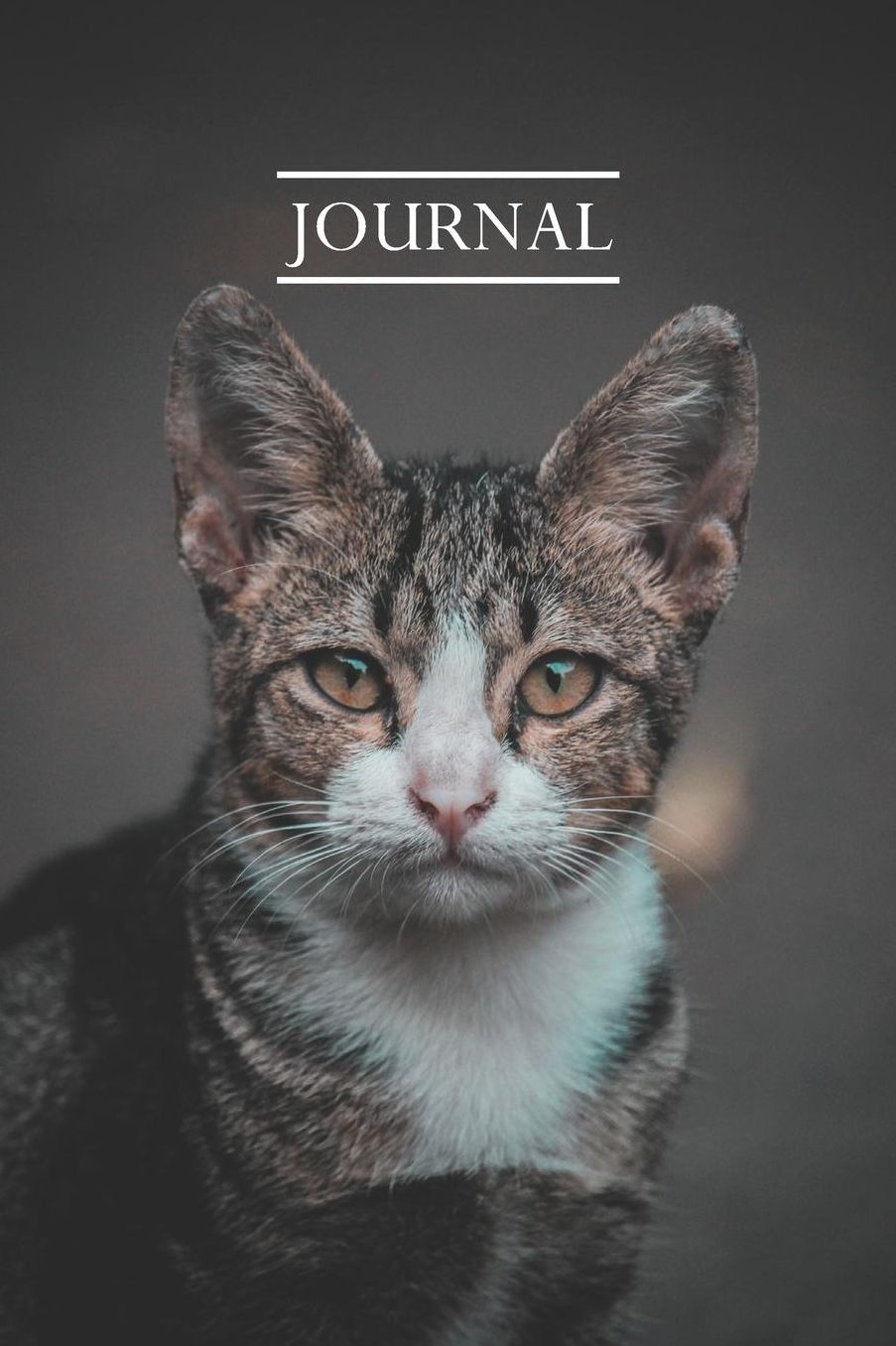 Journal: Pretty Cute Kitten Notebook for Cat Lovers