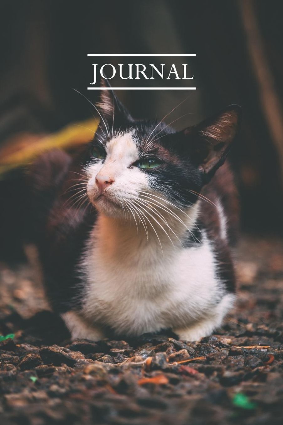 Journal: Pretty Cute Kitten Notebook for Cat Lovers