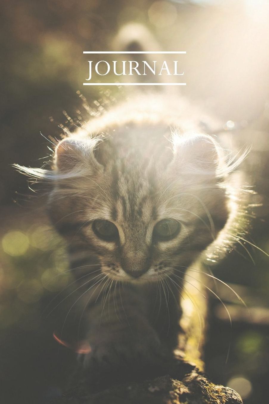 Journal: Pretty Cute Kitten Notebook for Cat Lovers