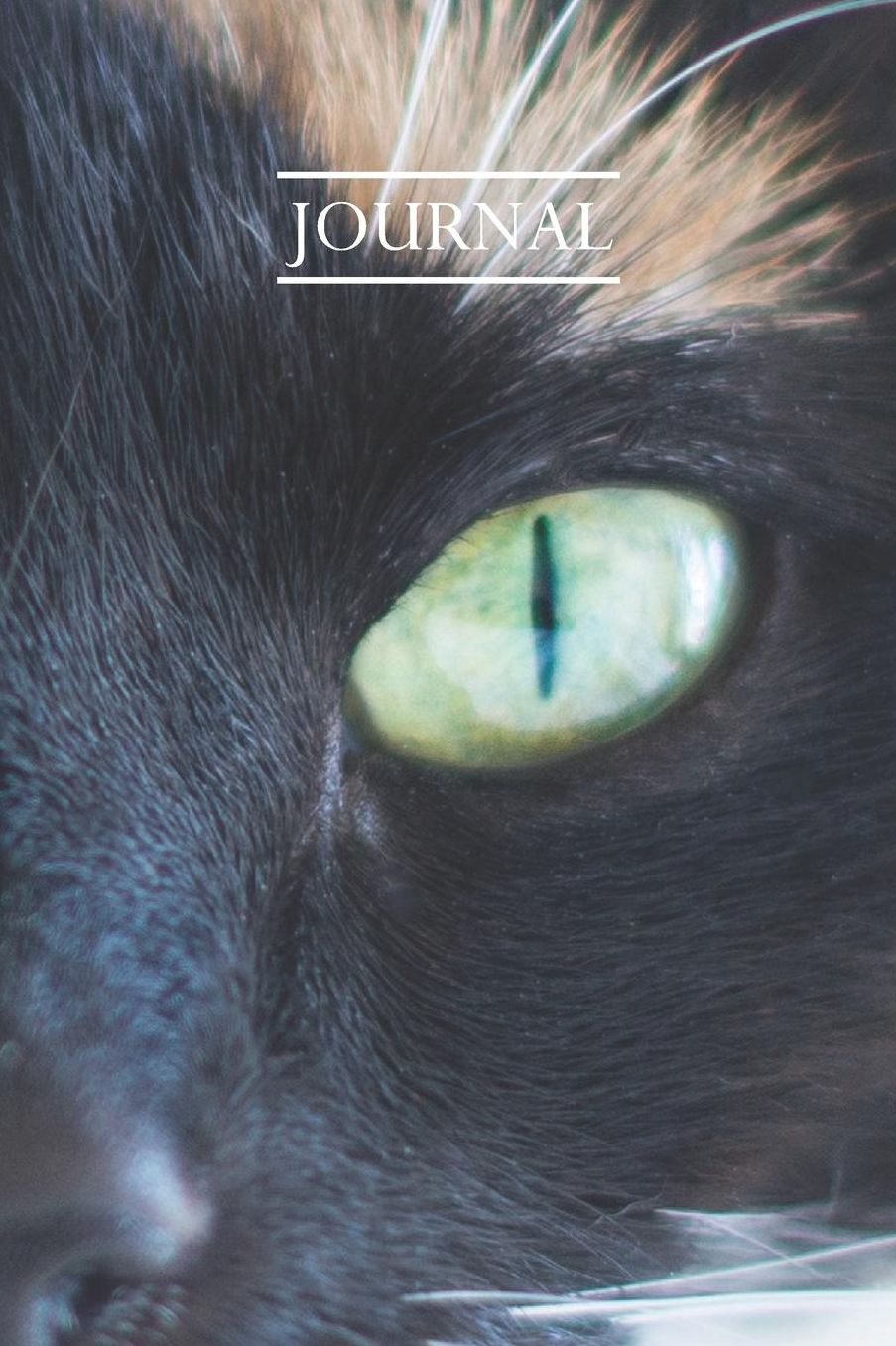 Journal: Pretty Cute Kitten Notebook for Cat Lovers