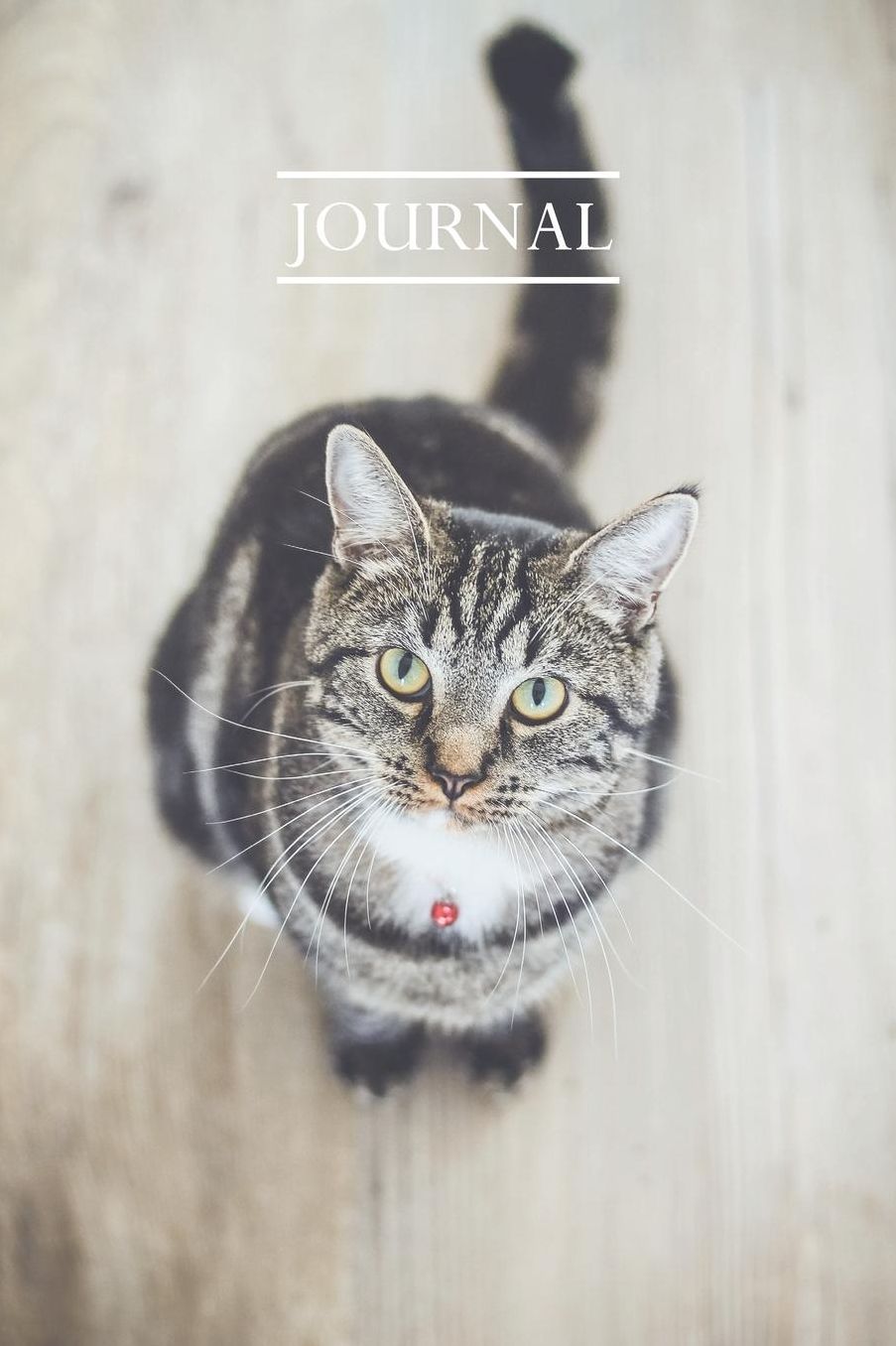 Journal: Pretty Cute Kitten Notebook for Cat Lovers