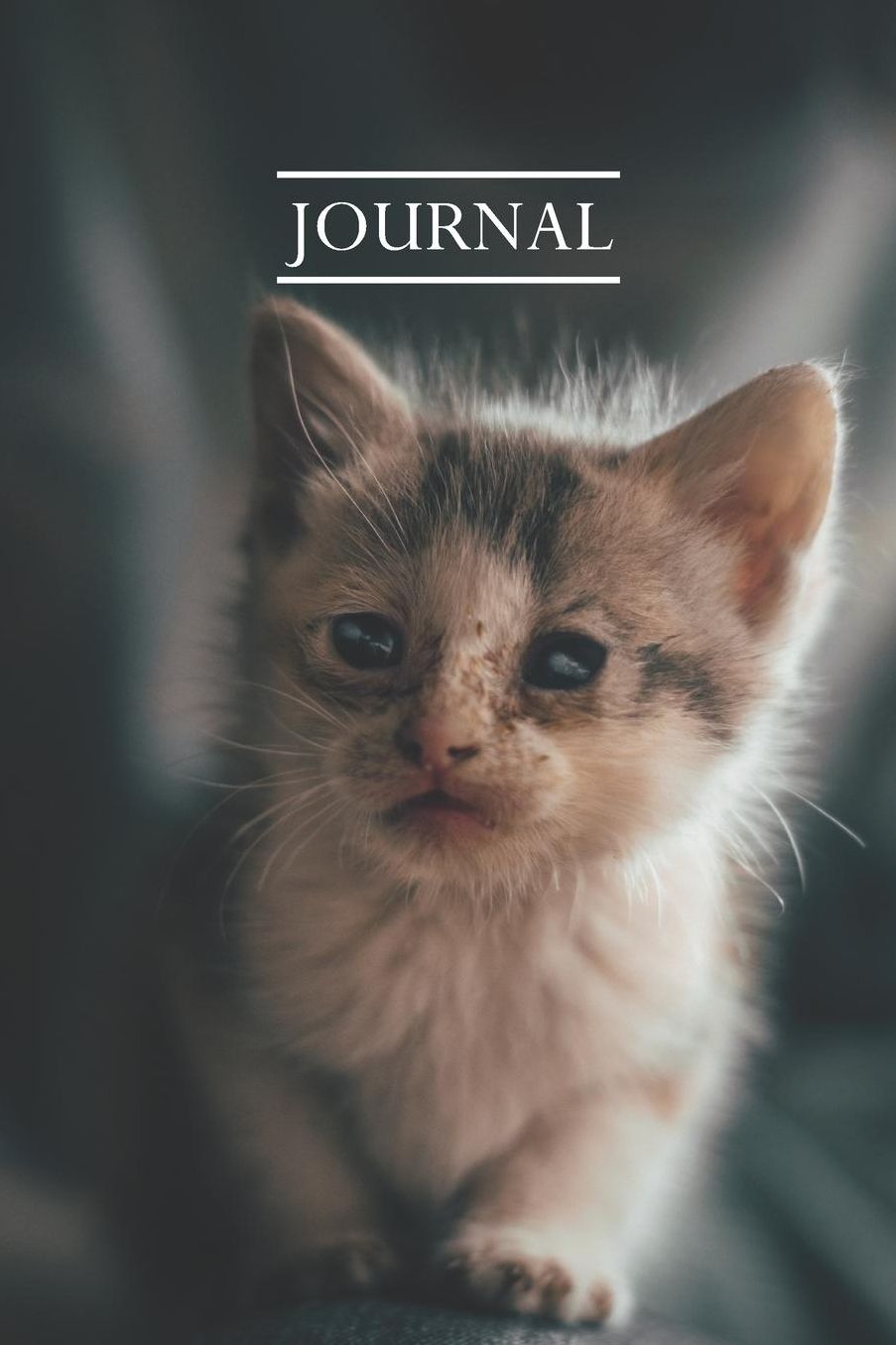 Journal: Pretty Cute Kitten Notebook for Cat Lovers