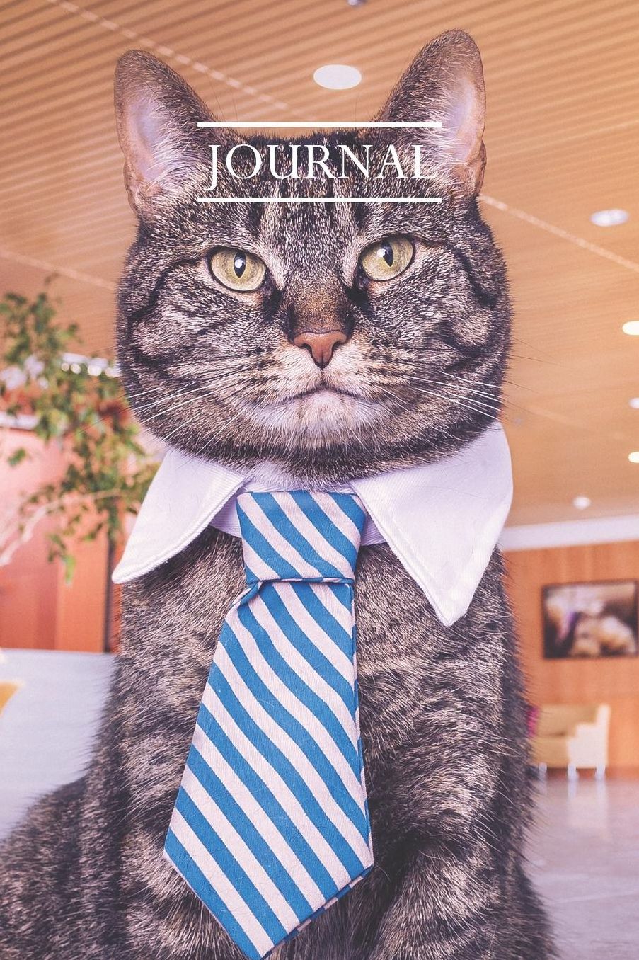 Journal: Pretty Cute Kitten Notebook for Cat Lovers