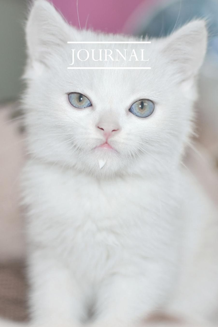 Journal: Pretty Cute Kitten Notebook for Cat Lovers