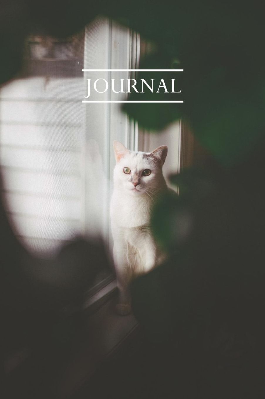 Journal: Pretty Cute Kitten Notebook for Cat Lovers
