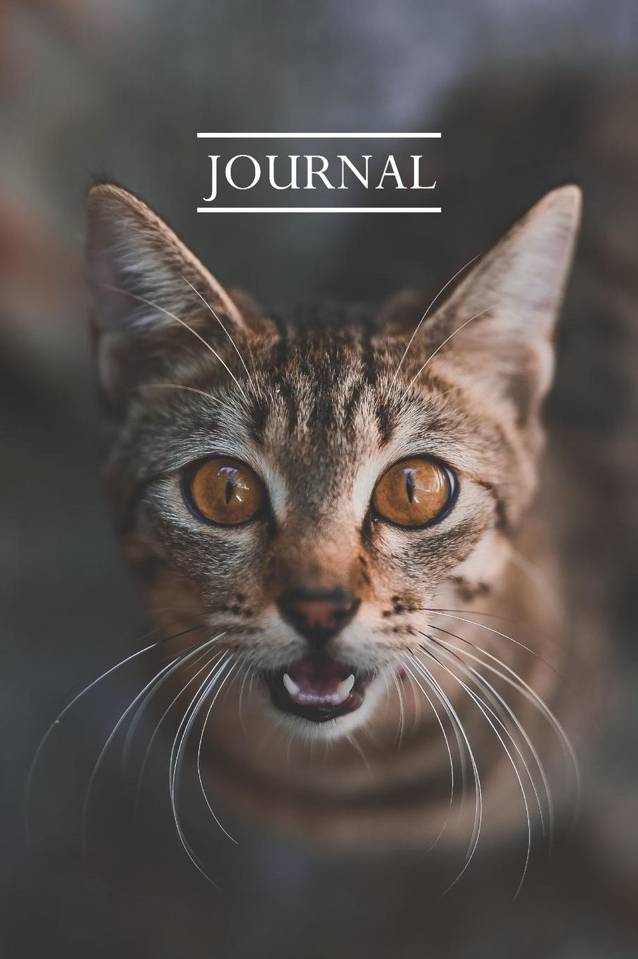 Journal: Pretty Cute Kitten Notebook for Cat Lovers