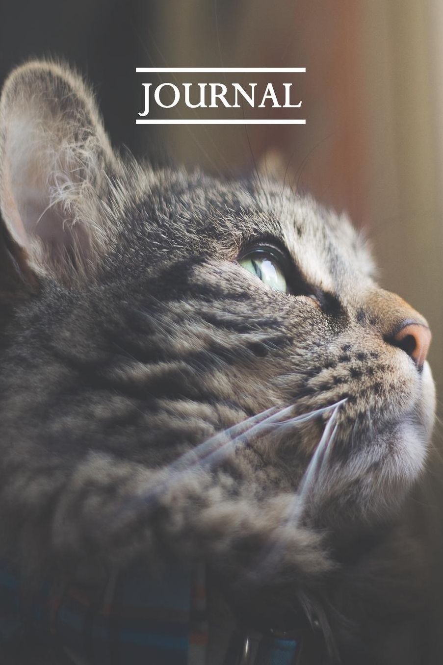 Journal: Pretty Cute Kitten Notebook for Cat Lovers