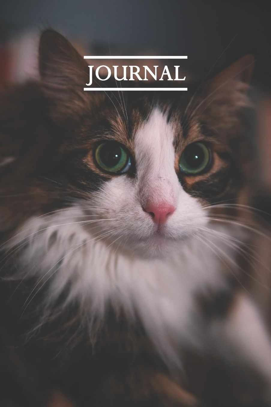 Journal: Pretty Cute Kitten Notebook for Cat Lovers