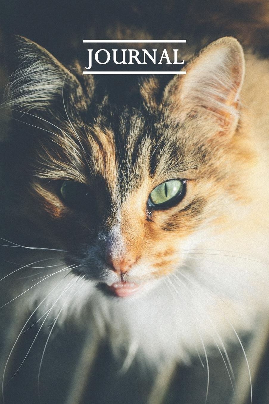 Journal: Pretty Cute Kitten Notebook for Cat Lovers