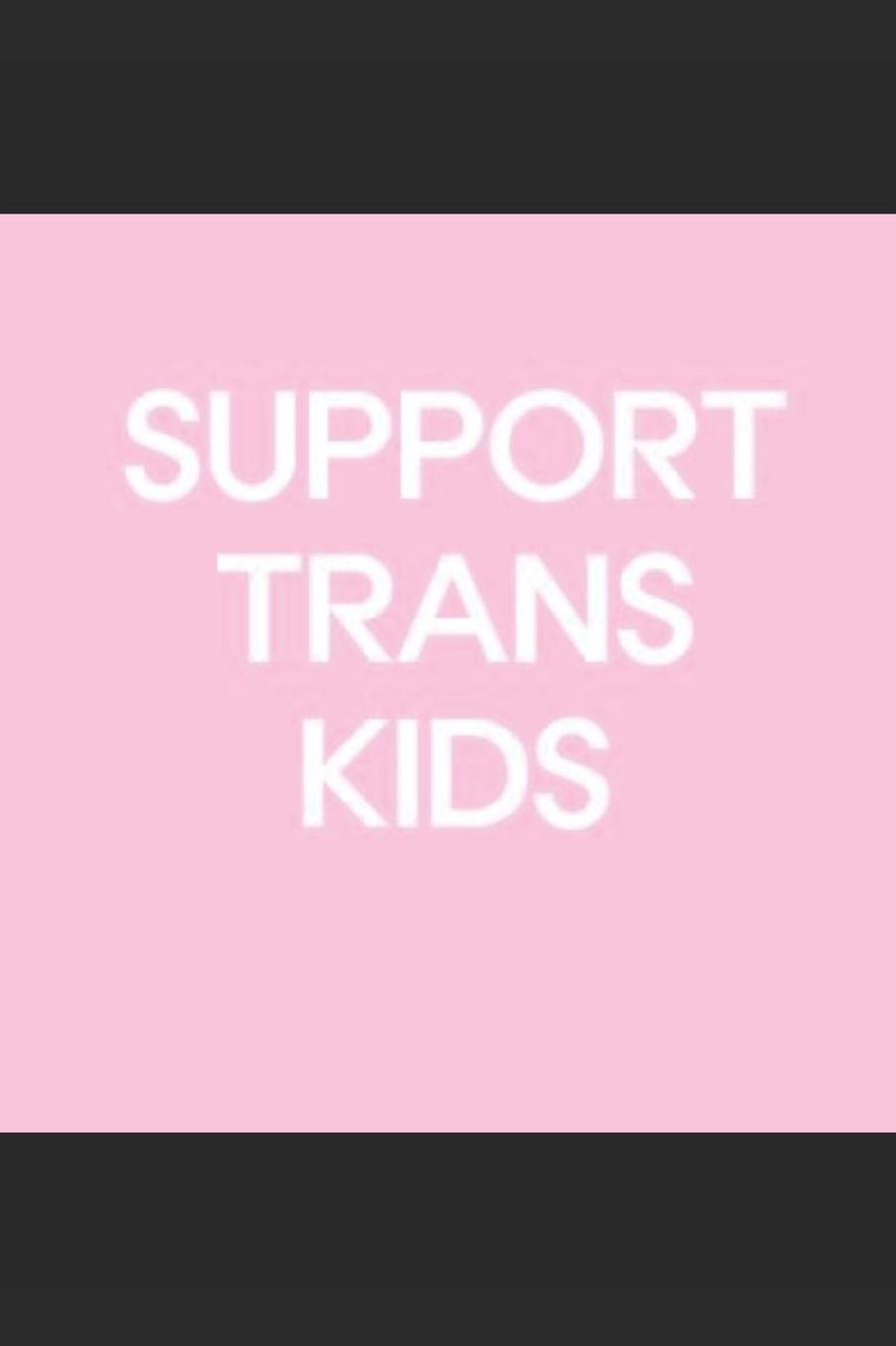 Journal: A trans pride themed notebook journal for your everyday needs