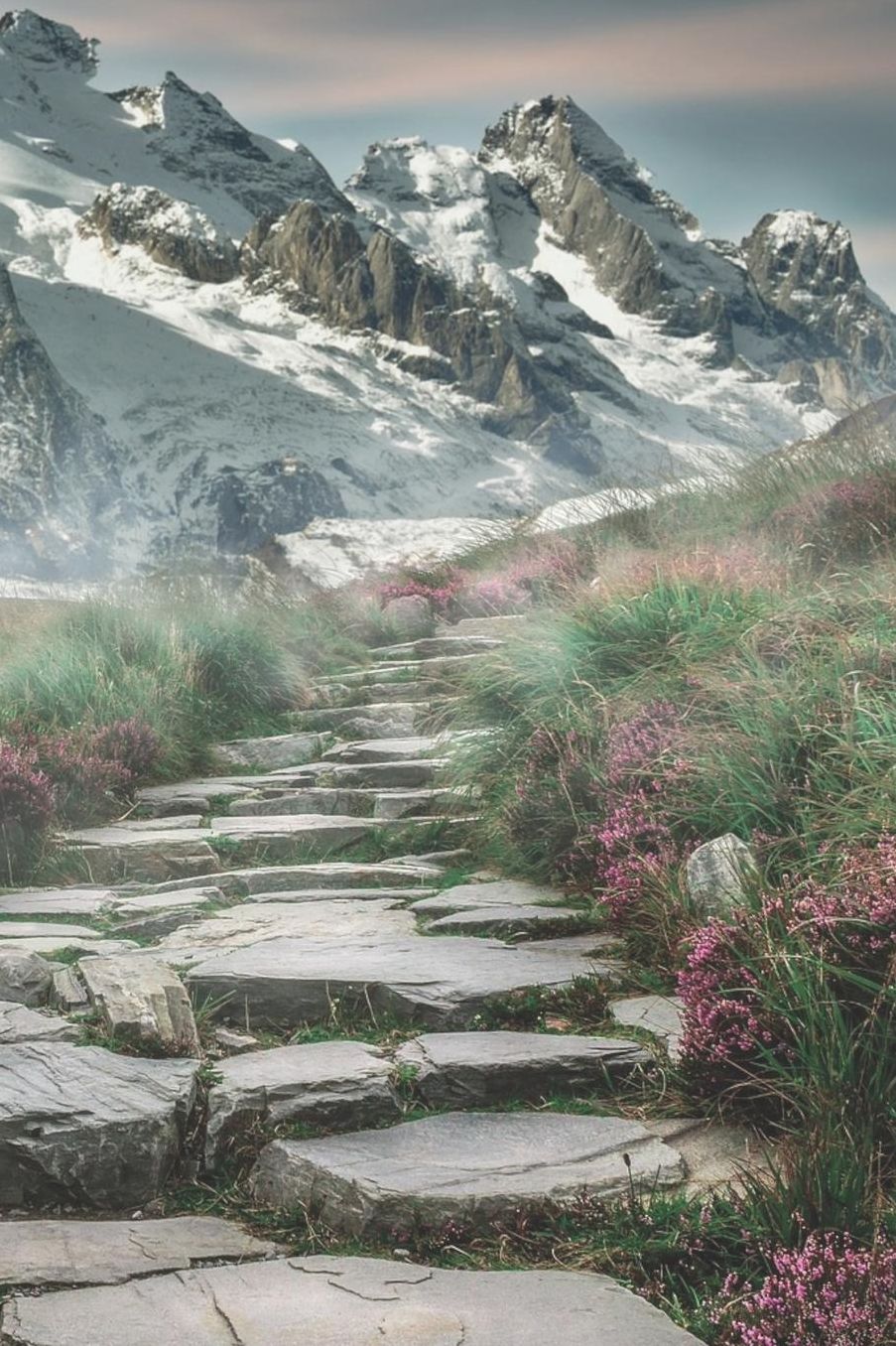 Mein Gipfellogbuch: Das Bergtouren Tagebuch zum selber ausfï¿½llen ♦ Wandertagebuch fï¿½r die schï¿½nsten Wanderungen, Aussichten und Erinnerungen ♦ 6x9 Format ♦ Motiv: Steintreppe