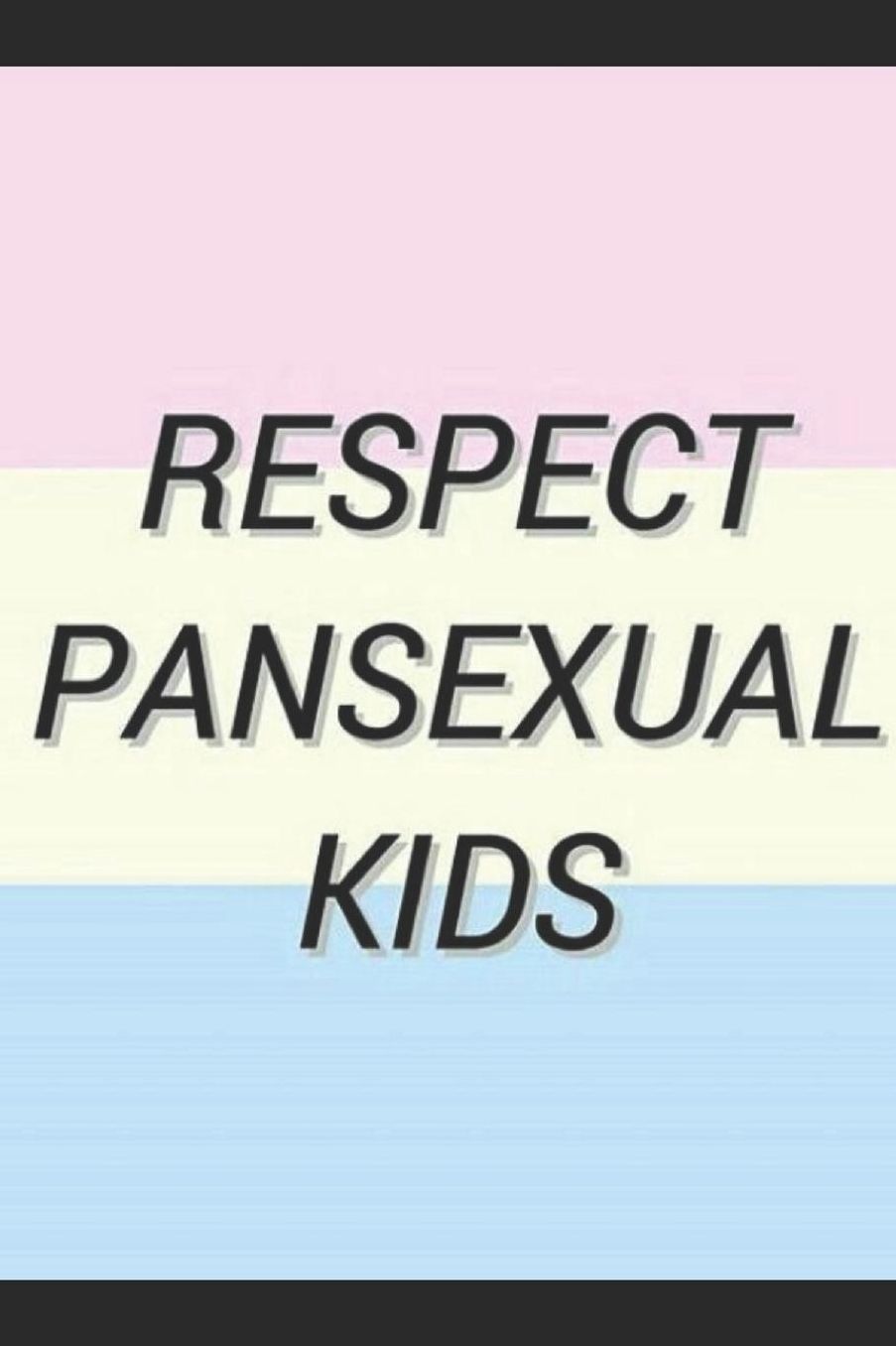 Journal: A pansexual pride themed notebook journal for your everyday needs
