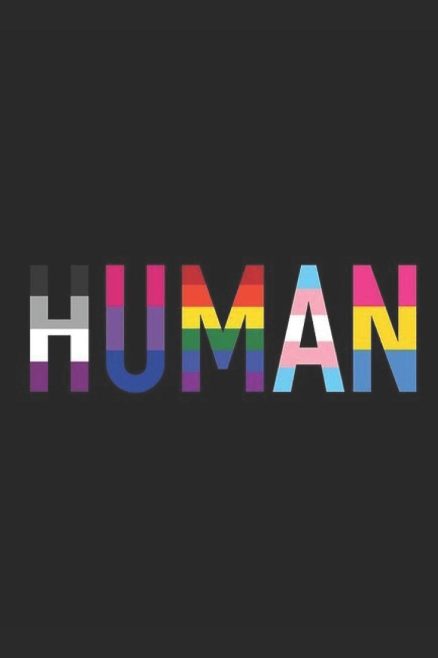 Journal: A pride themed notebook journal for your everyday needs