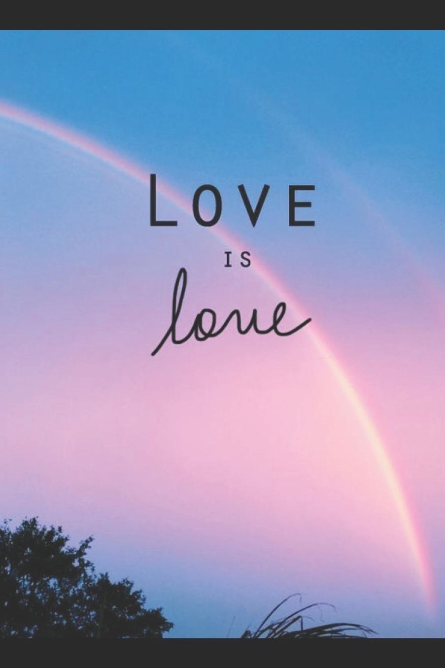 Journal: A pride themed notebook journal for your everyday needs