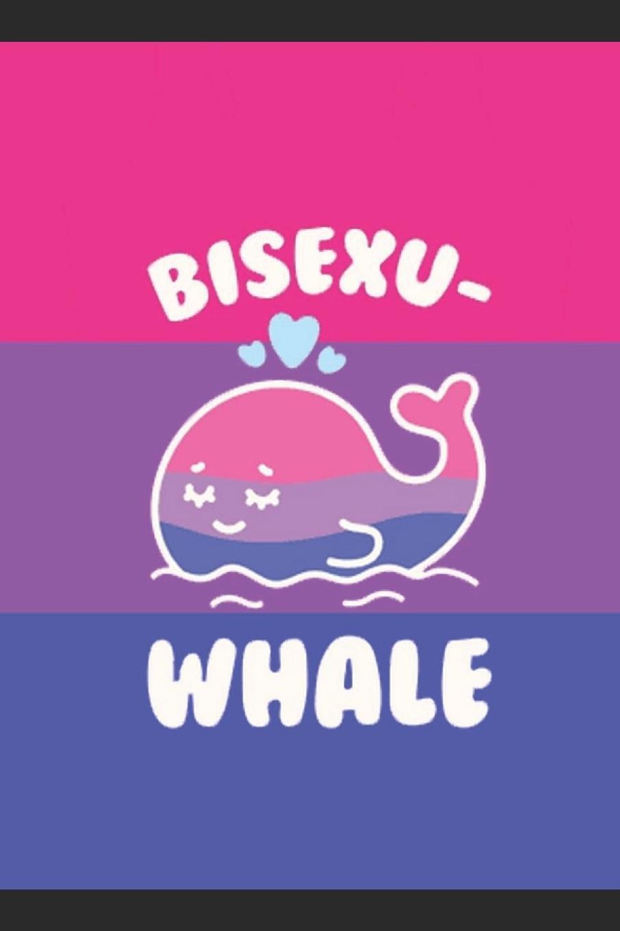Journal: A bisexual pride themed notebook journal for your everyday needs
